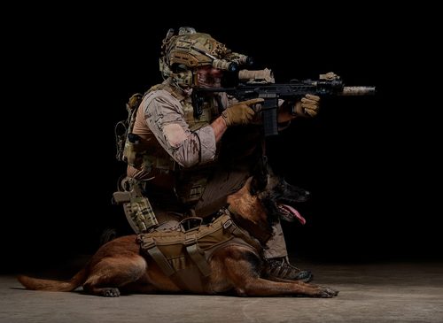 Tactical photography — DSC 8217