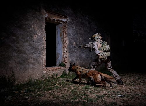 Tactical photography — DSC 8250